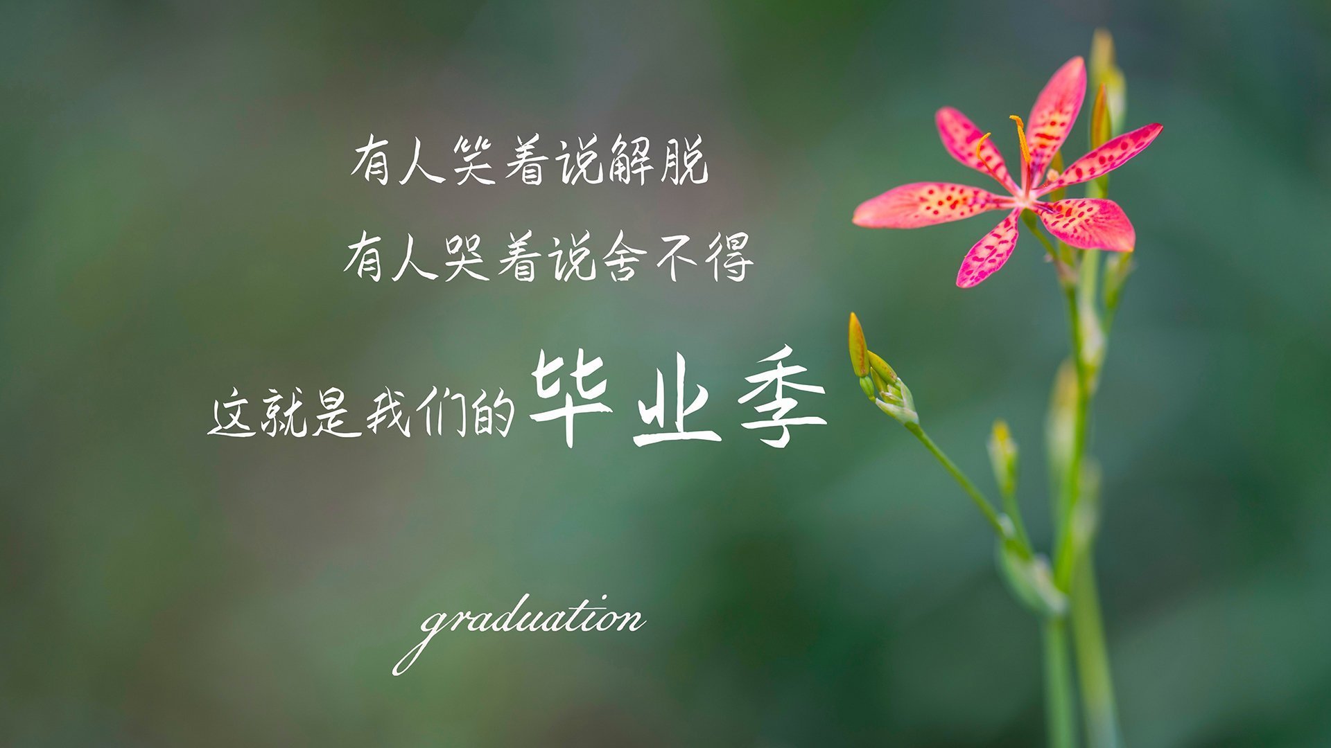 世俱杯直播在线观看免费-篮球运动员专项技能动作标准化训练,篮球运动员专项技能特征