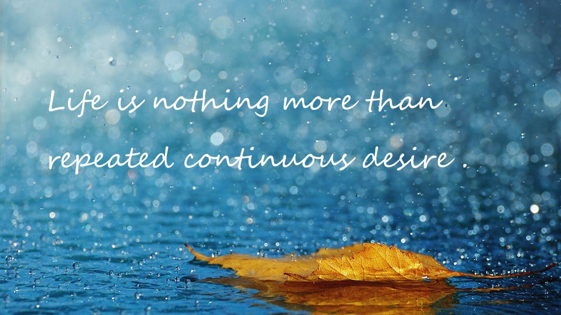 世俱杯入口-世界围棋赛焦点之战引爆全场,世界围棋大赛总决赛