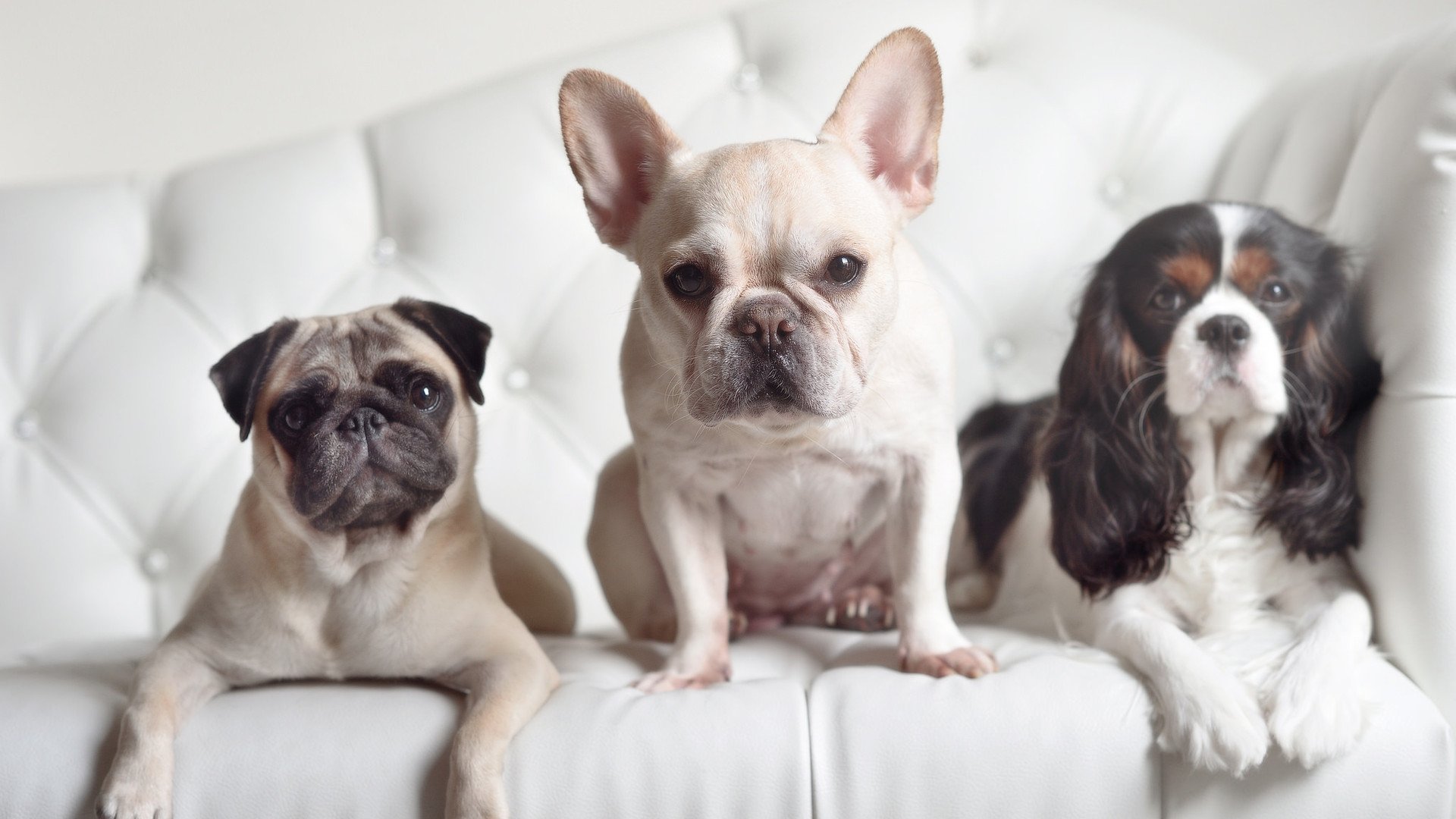 2025世俱杯-“自由搏击热血沸腾,四川省体育馆迎来强者对决”