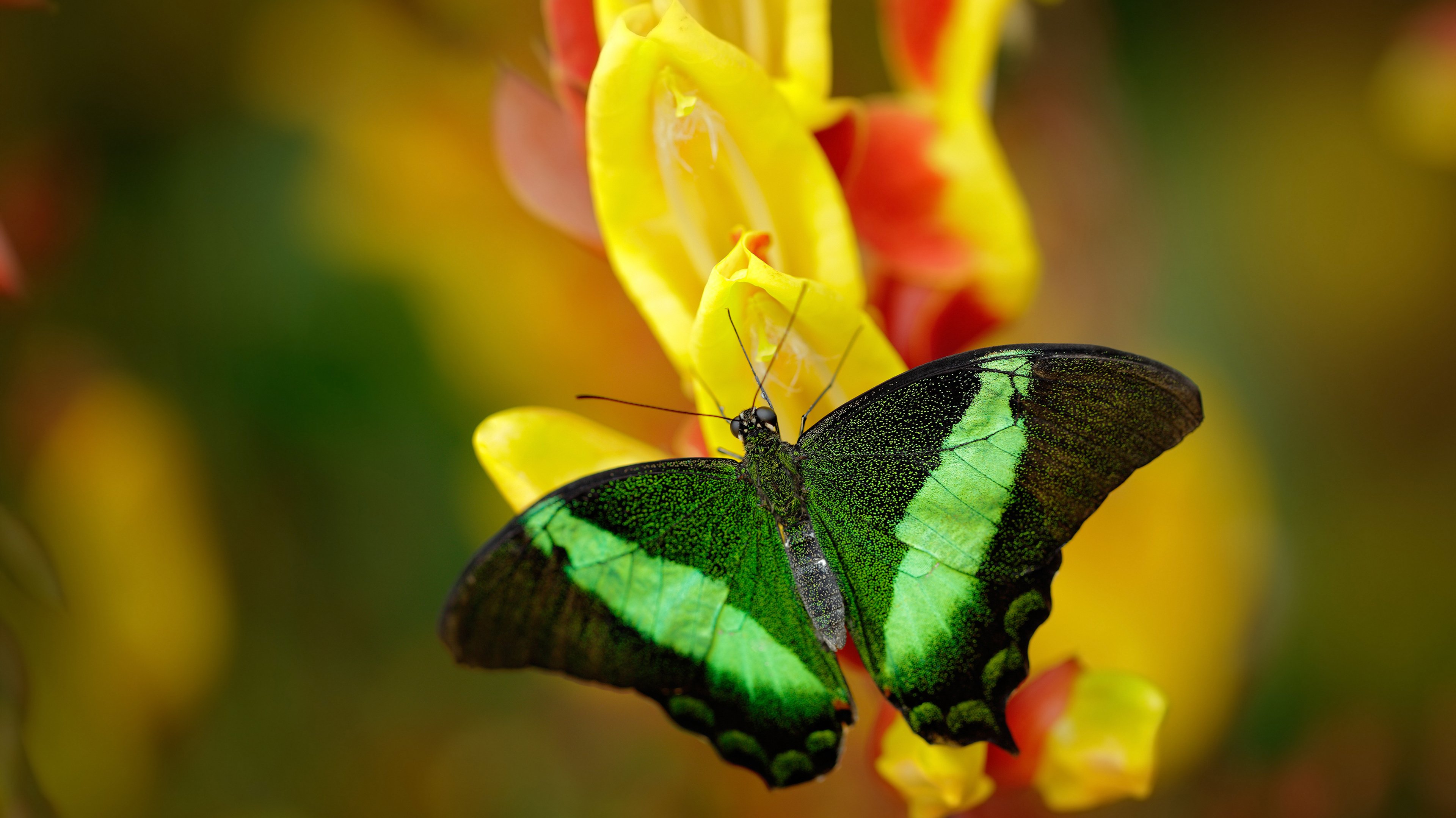 世俱杯官网-五大联赛场均过人次数增长是否改变打法趋势,五大联赛过人排行榜