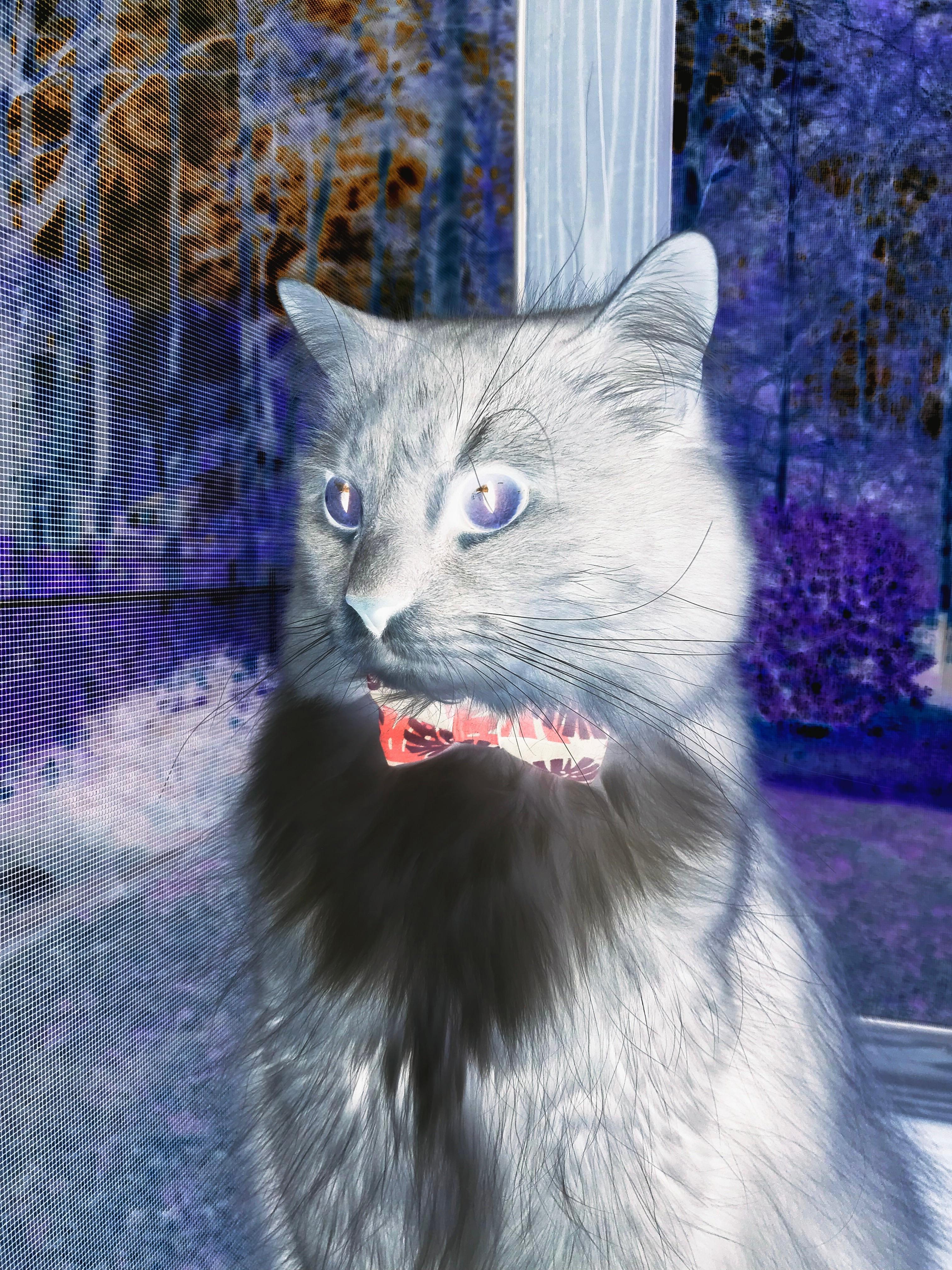 世俱杯直播-体育职业资格认证新标准正式实施,体育职业资格证书查询官网